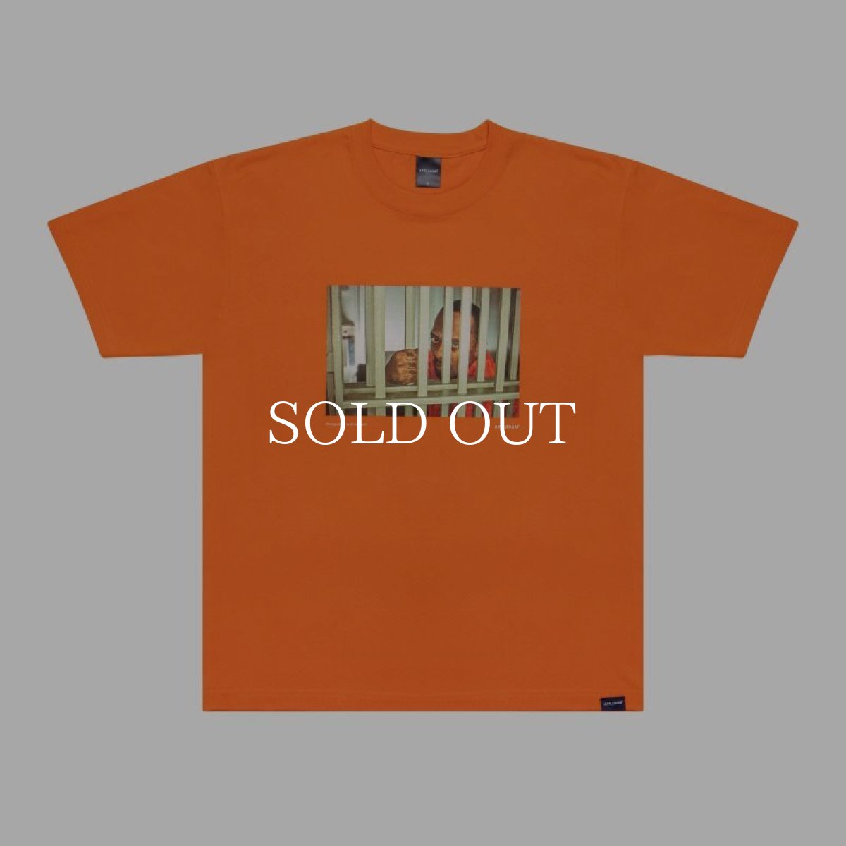 画像19: APPLEBUM  “PDG” T-shirt (19)