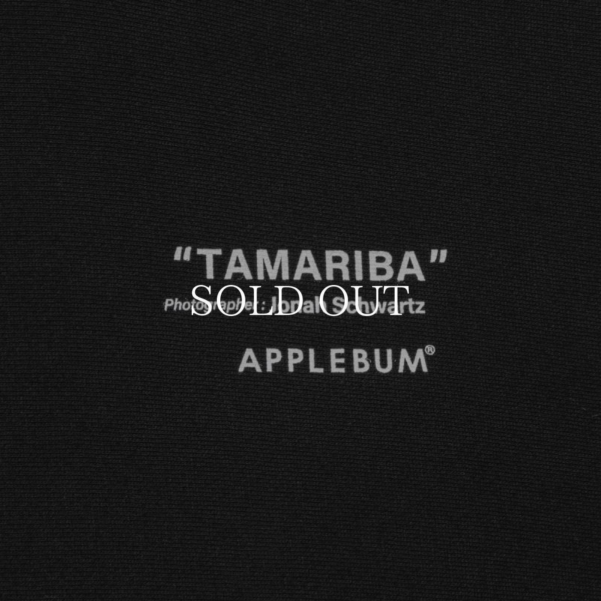 画像4: APPLEBUM  “ASM” Sweat Parka (4)