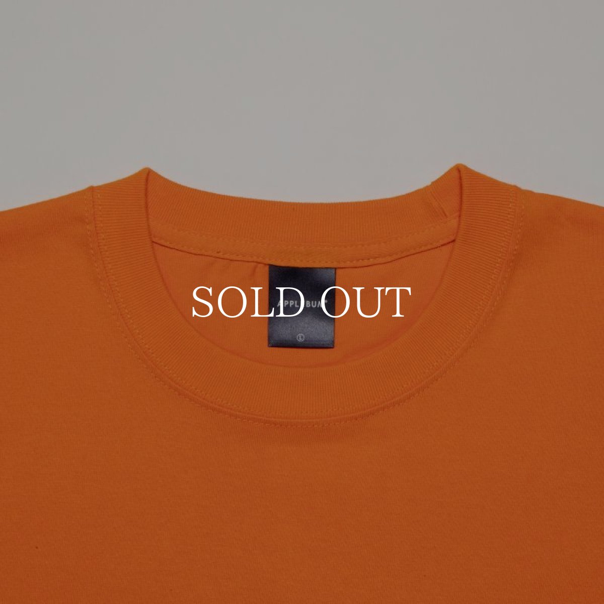 画像21: APPLEBUM  “PDG” T-shirt (21)