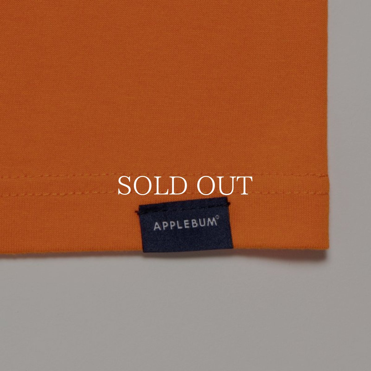 画像24: APPLEBUM  “PDG” T-shirt (24)