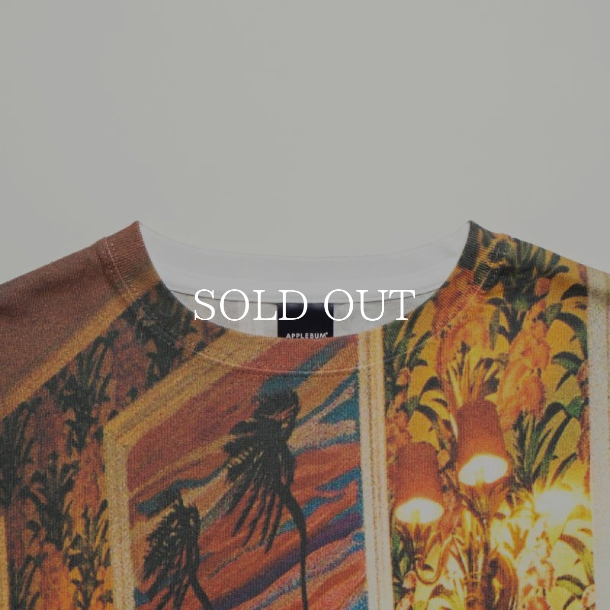 画像3: APPLEBUM  “DST” All Print T-shirt (3)