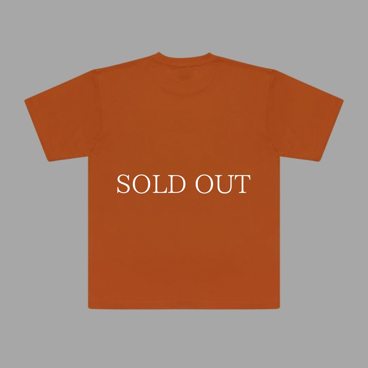 画像20: APPLEBUM  “PDG” T-shirt (20)