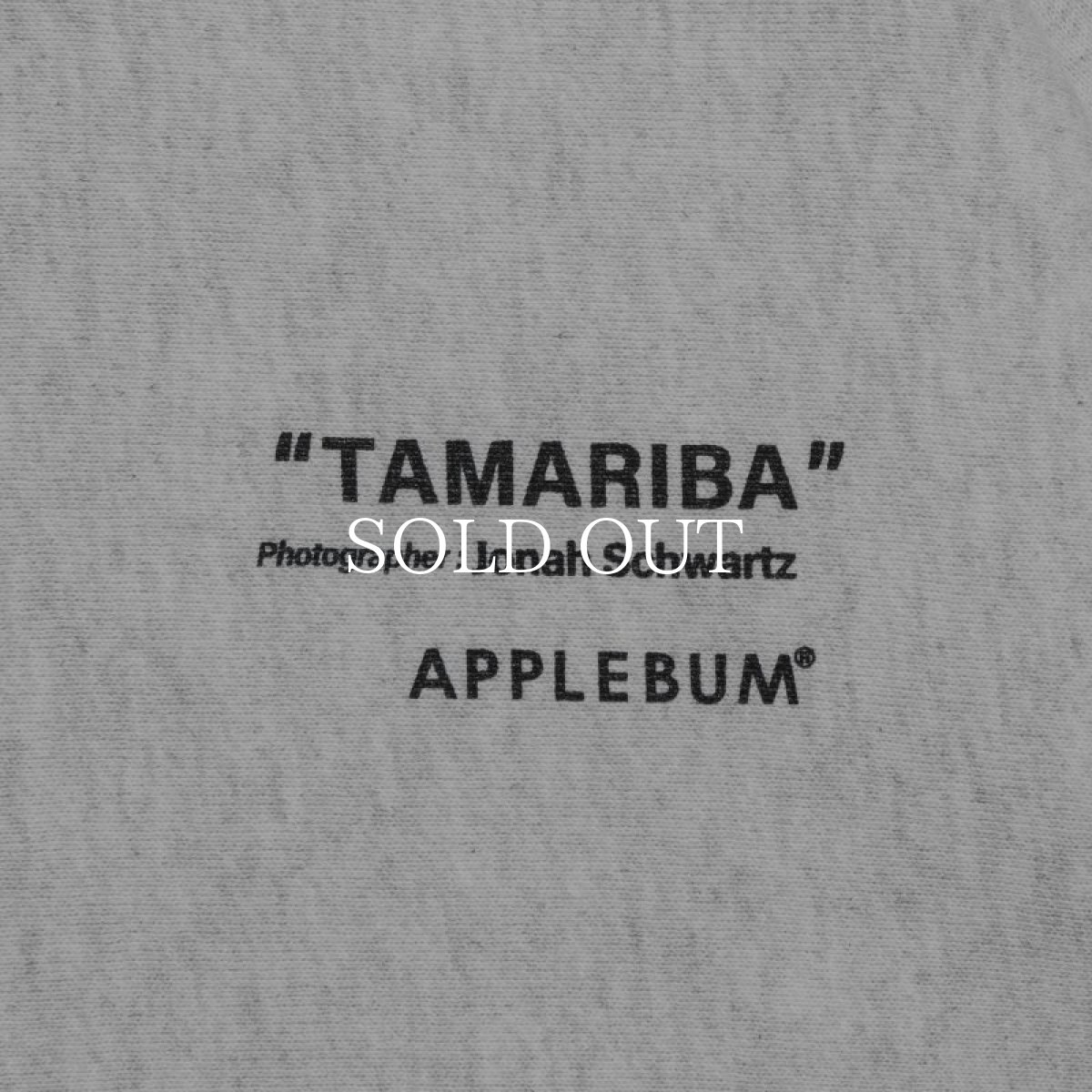 画像11: APPLEBUM  “ASM” Sweat Parka (11)