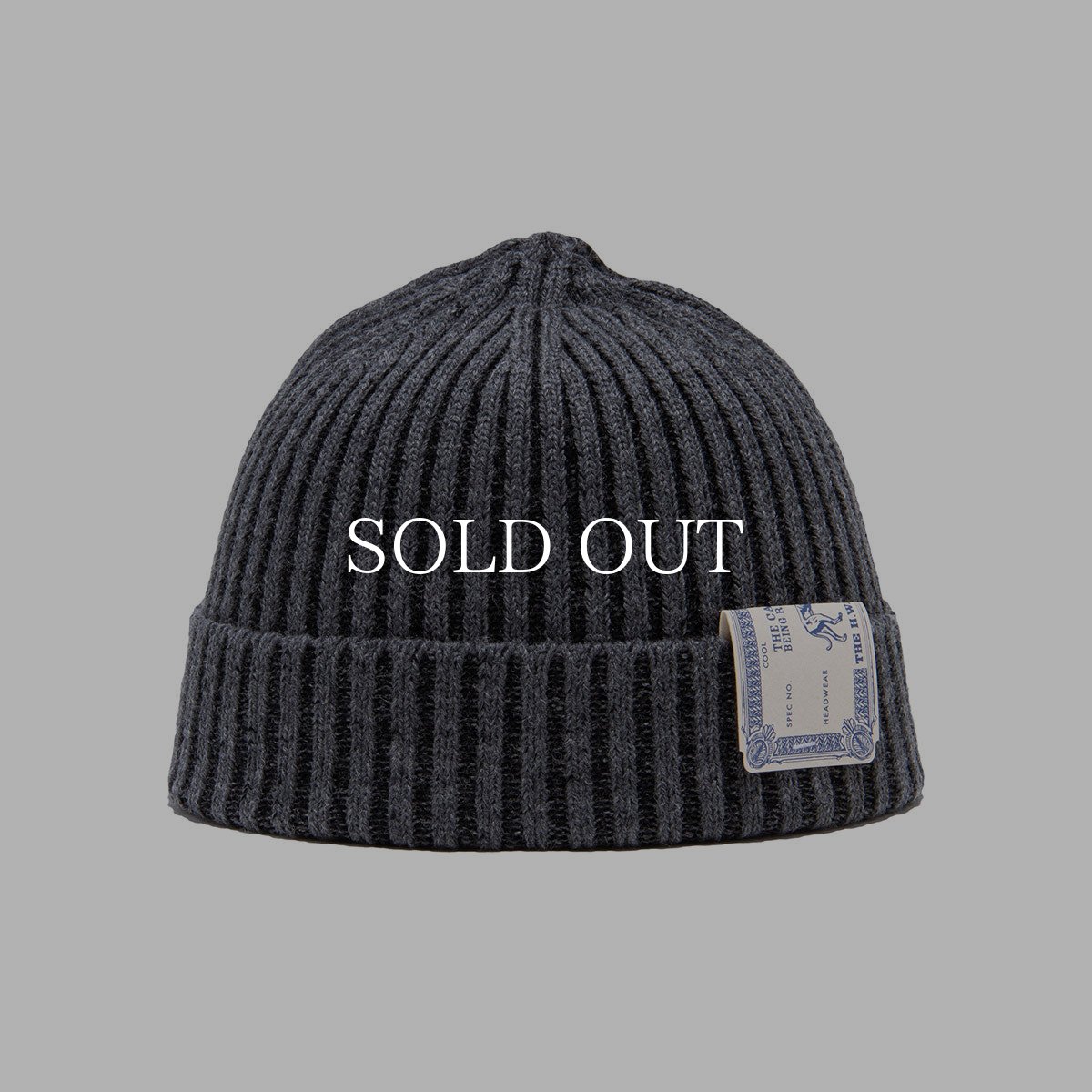 画像6: THE H.W.DOG&CO.  RIB SMART KNIT CAP (6)