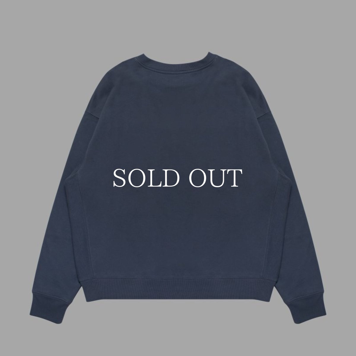 画像2: APPLEBUM  "北punk” [Killiman Jah Low Works] Crew Sweat (2)