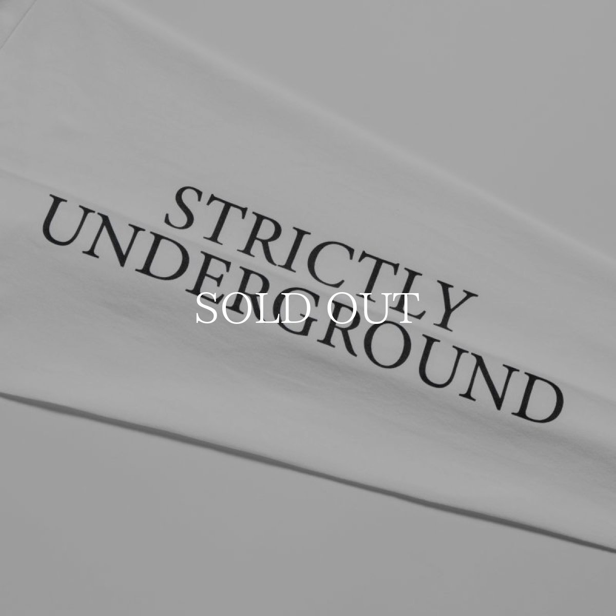 画像4: APPLEBUM  “STRICTLY UNDERGROUND” L/S T-shirt (4)