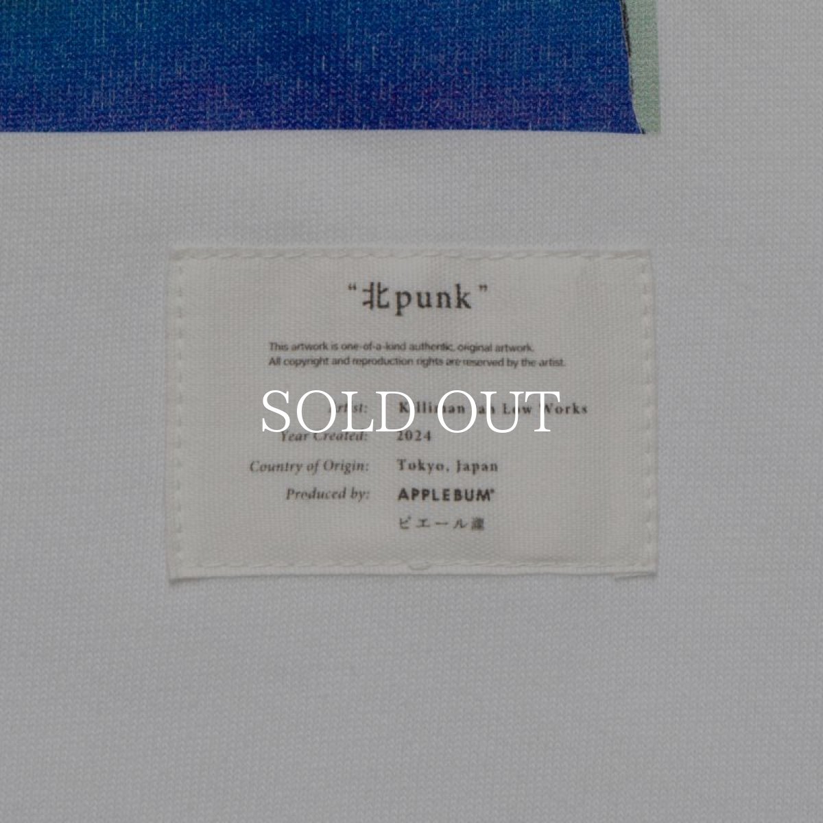 画像4: APPLEBUM   "北punk” [Killiman Jah Low Works] T-Shirt (4)