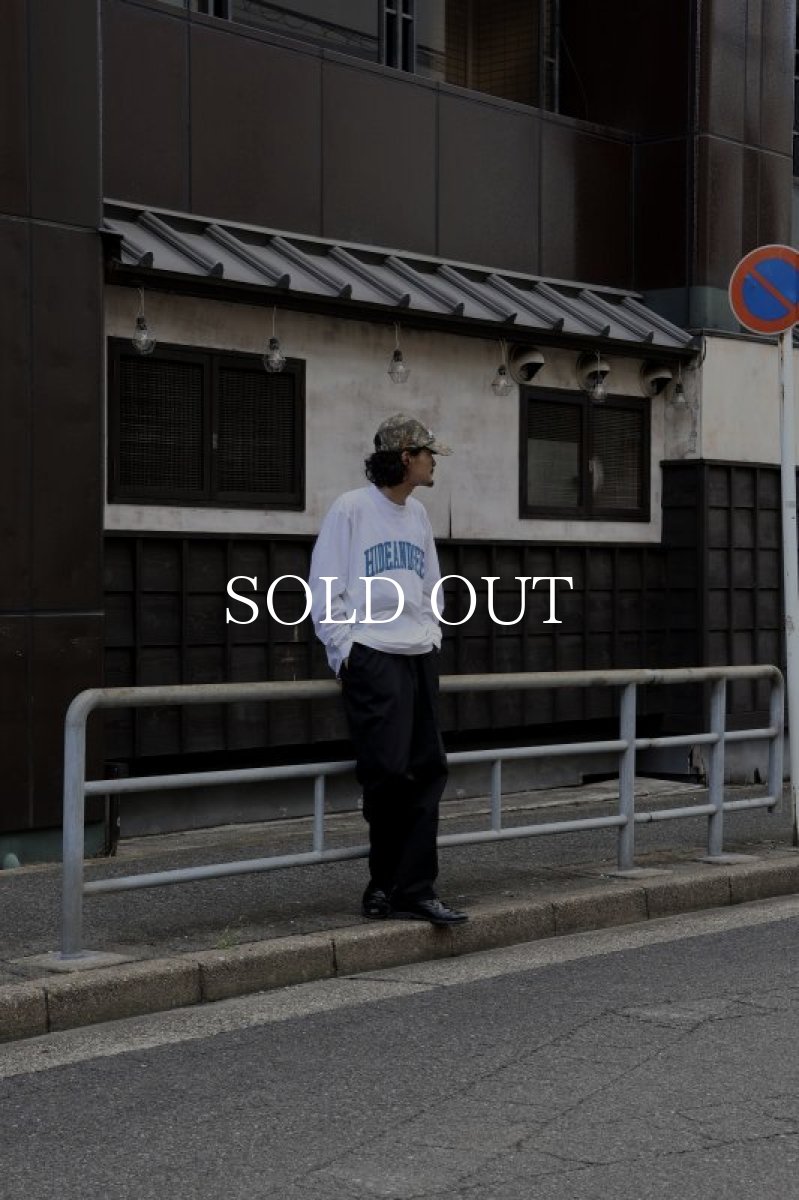 画像6: HideandSeek  College L/S Tee (6)