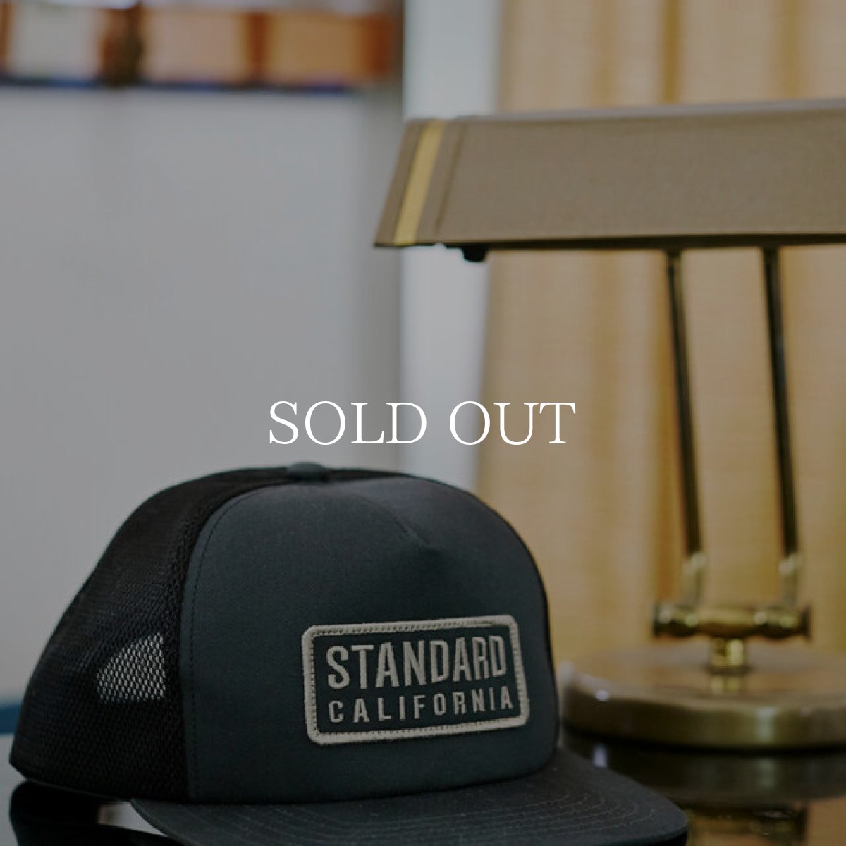 画像11: STANDARD CALIFORNIA  SD Box Logo Patch Mesh Cap (11)