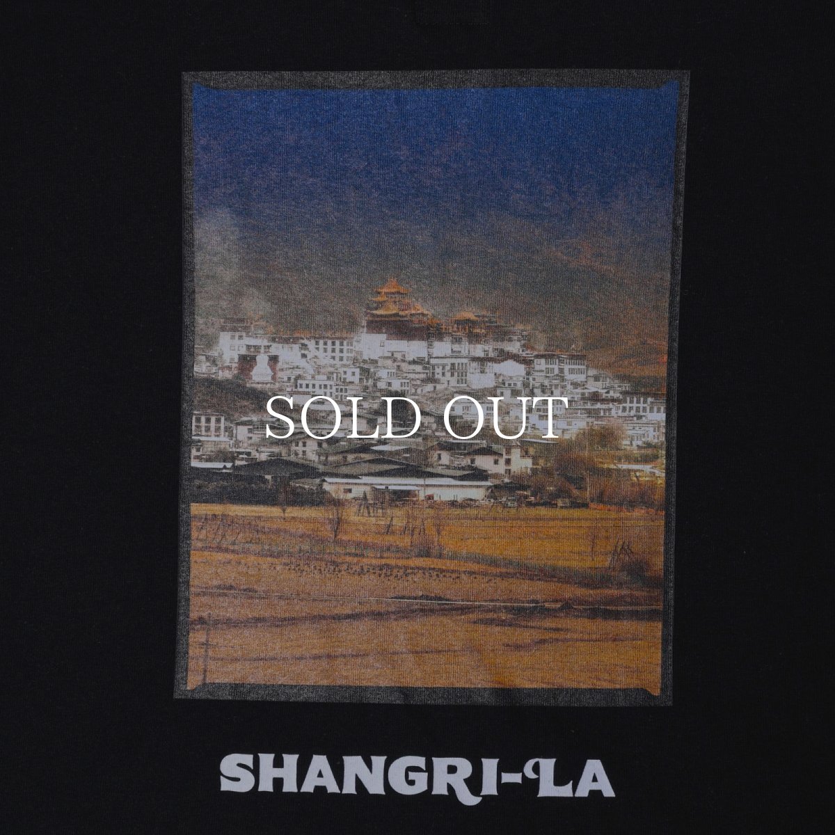 画像8: Liberaiders  MAW PHOTO L/S TEE (8)