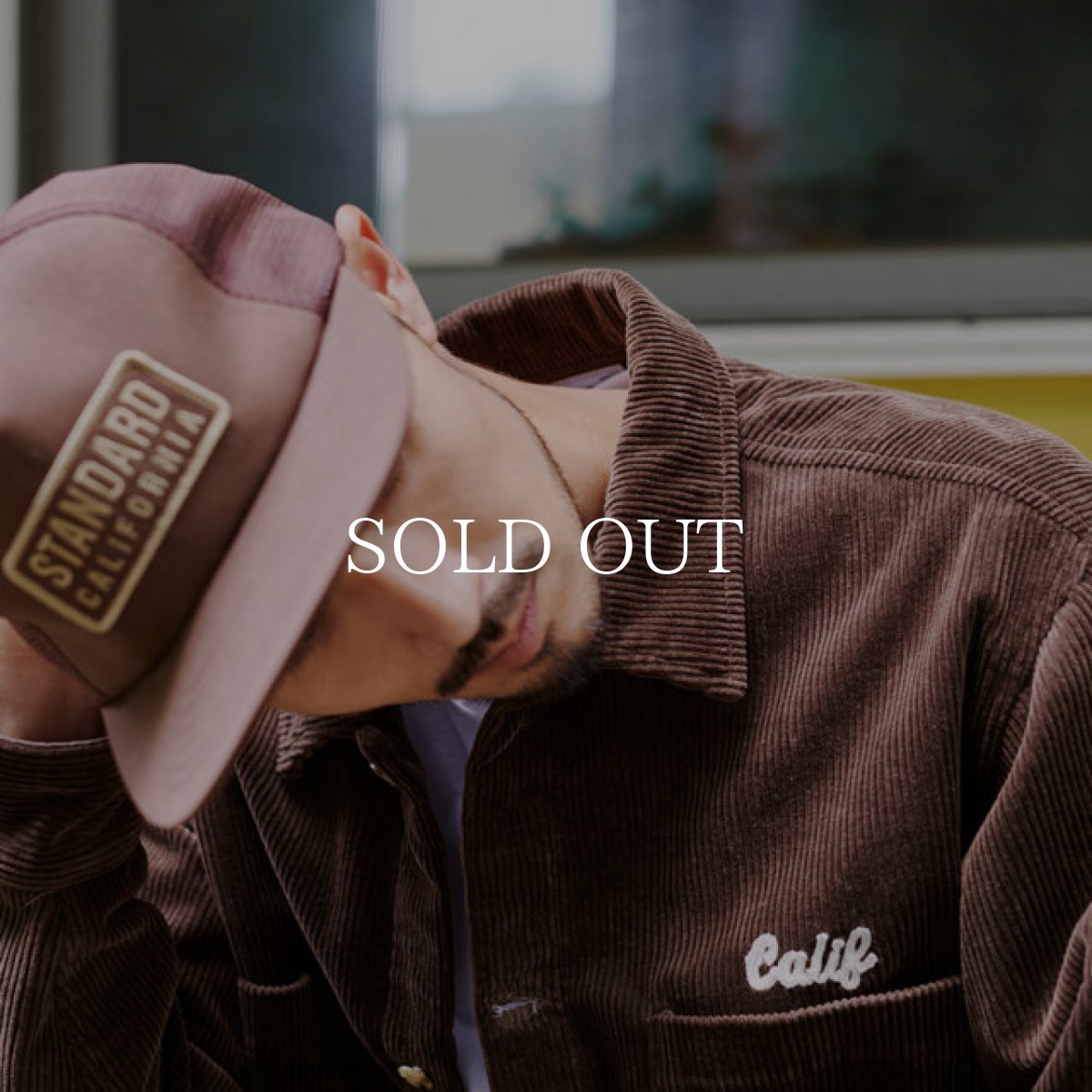 画像13: STANDARD CALIFORNIA  SD Box Logo Patch Mesh Cap (13)