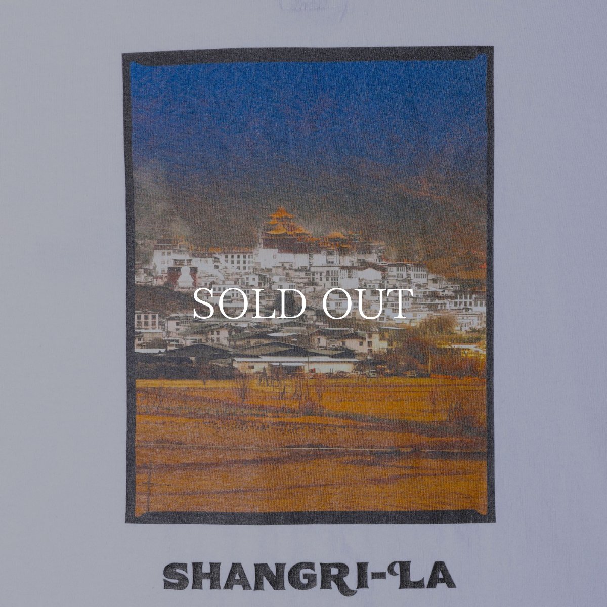 画像3: Liberaiders  MAW PHOTO L/S TEE (3)