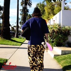 画像24: COOKMAN  Chef Pants Tortoiseshell (24)