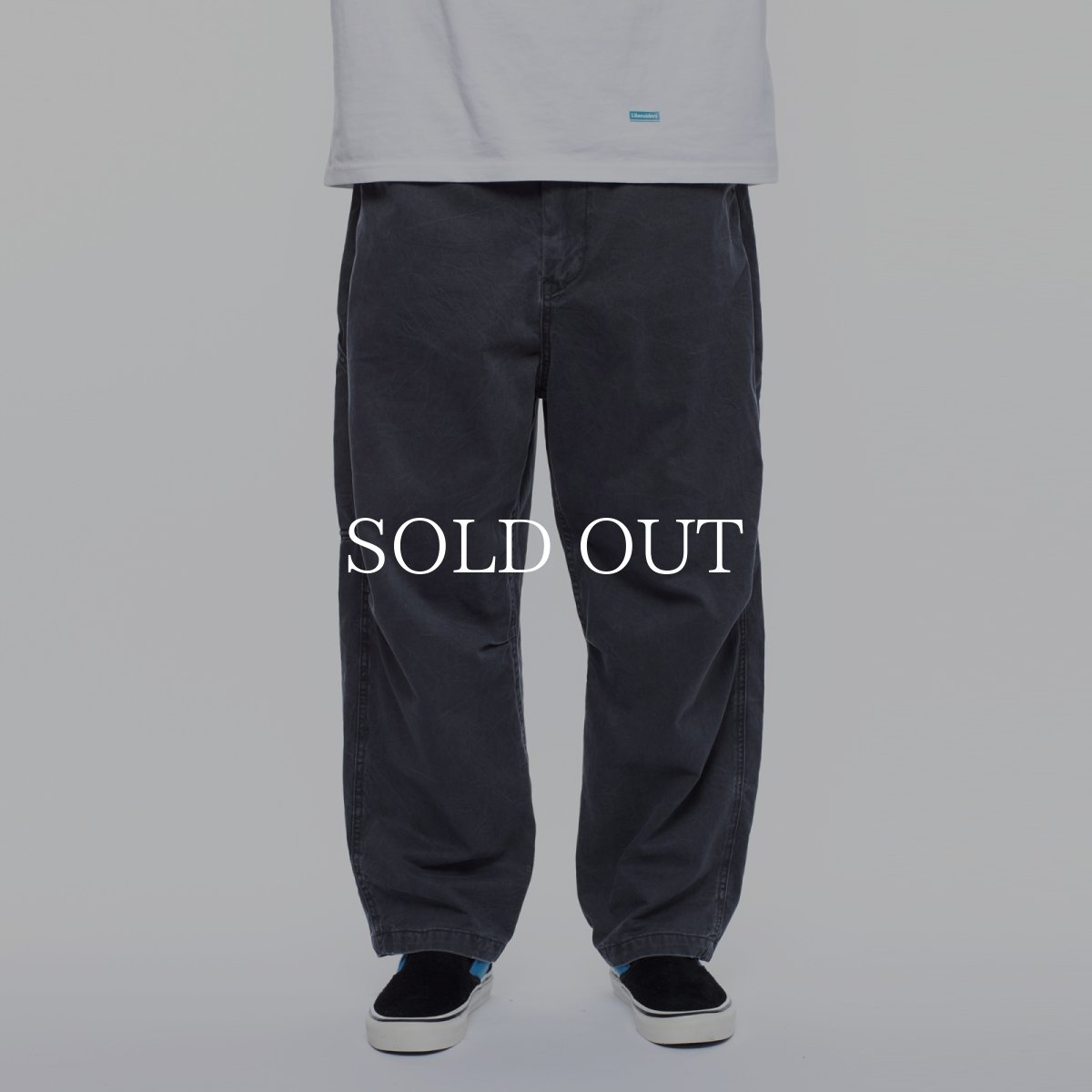 画像11: Liberaiders  SARROUEL CHINO PAINTER PANTS (11)