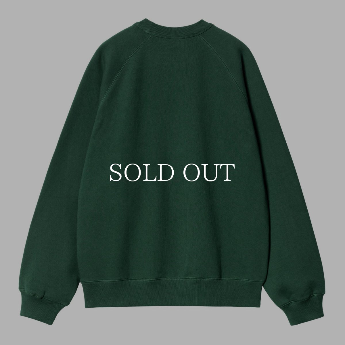 画像12: CARHARTT WIP  LAZY DUCK ACADEMY SWEAT (12)