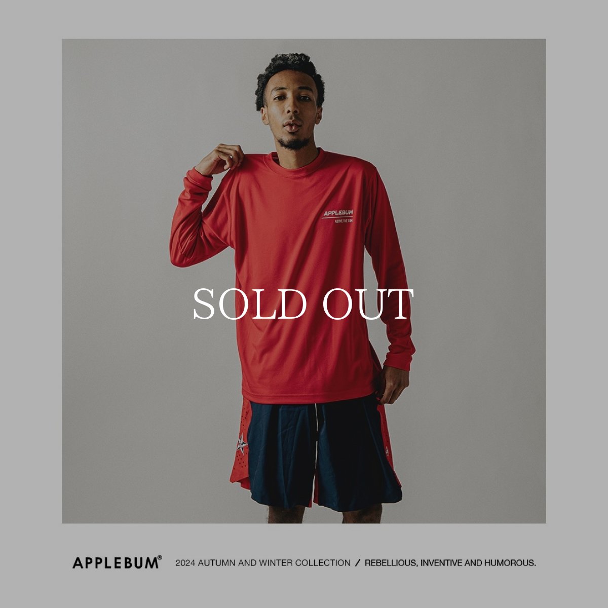 画像22: APPLEBUM  "ABOVE THE RIM" Elite Performance Dry L/S T-shirt (22)