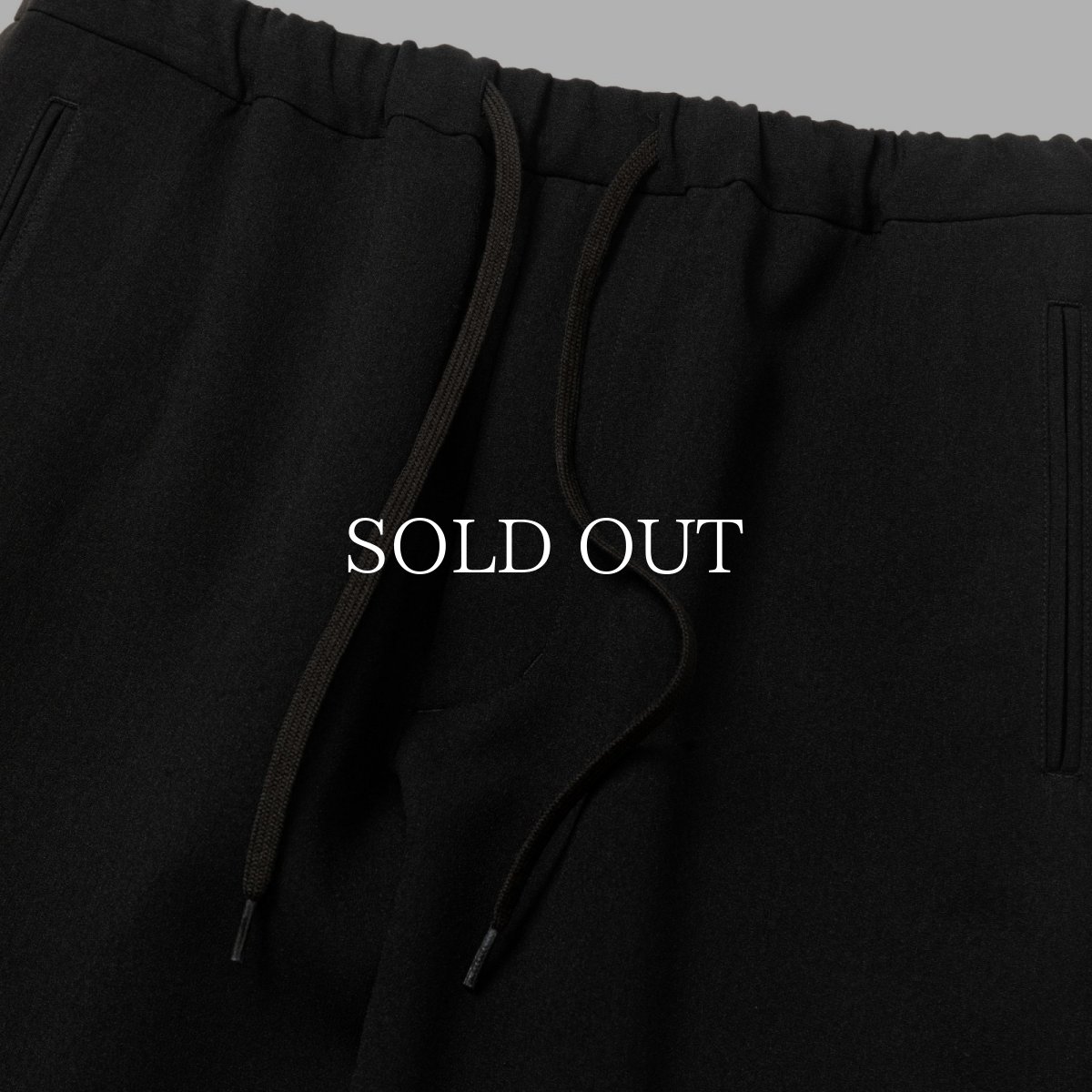 画像3: CALEE  LANATEC®︎ECO EASY SLACKS (3)