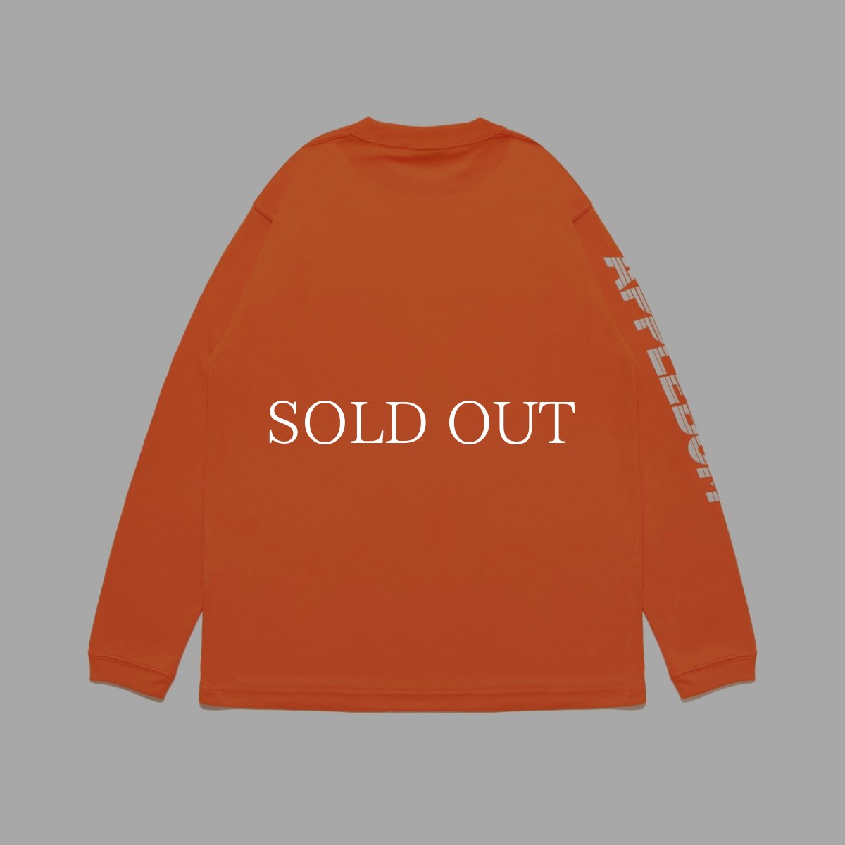 画像7: APPLEBUM  "ABOVE THE RIM" Elite Performance Dry L/S T-shirt (7)