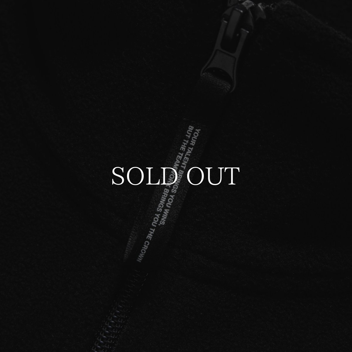 画像4: APPLEBUM  Fleece Full Zip Vest (4)