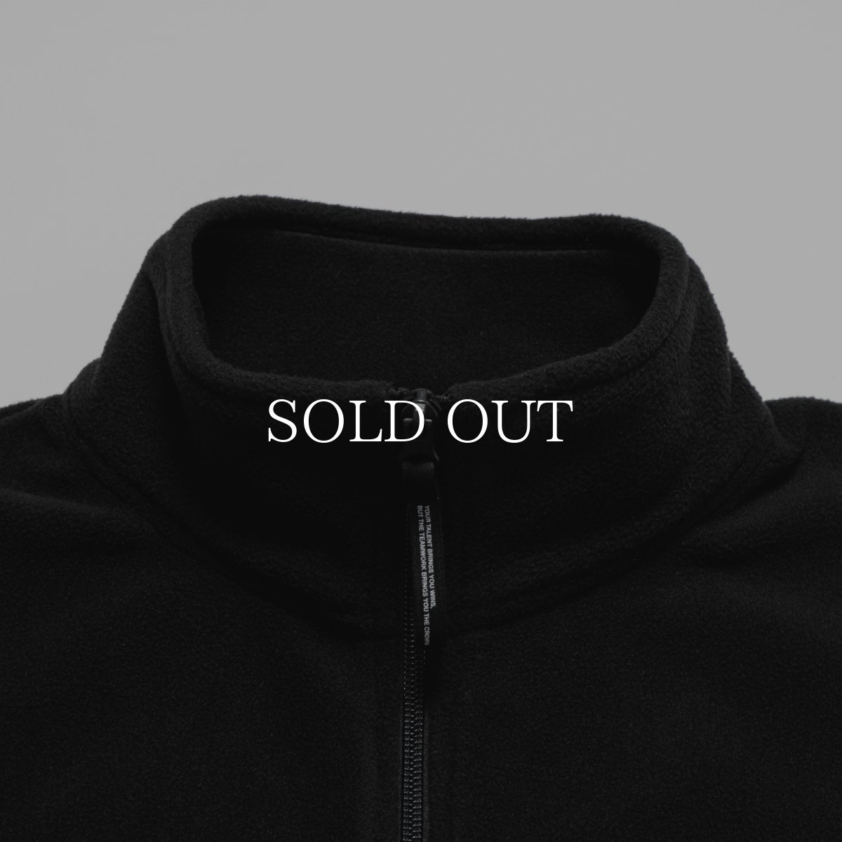 画像3: APPLEBUM  Fleece Full Zip Vest (3)