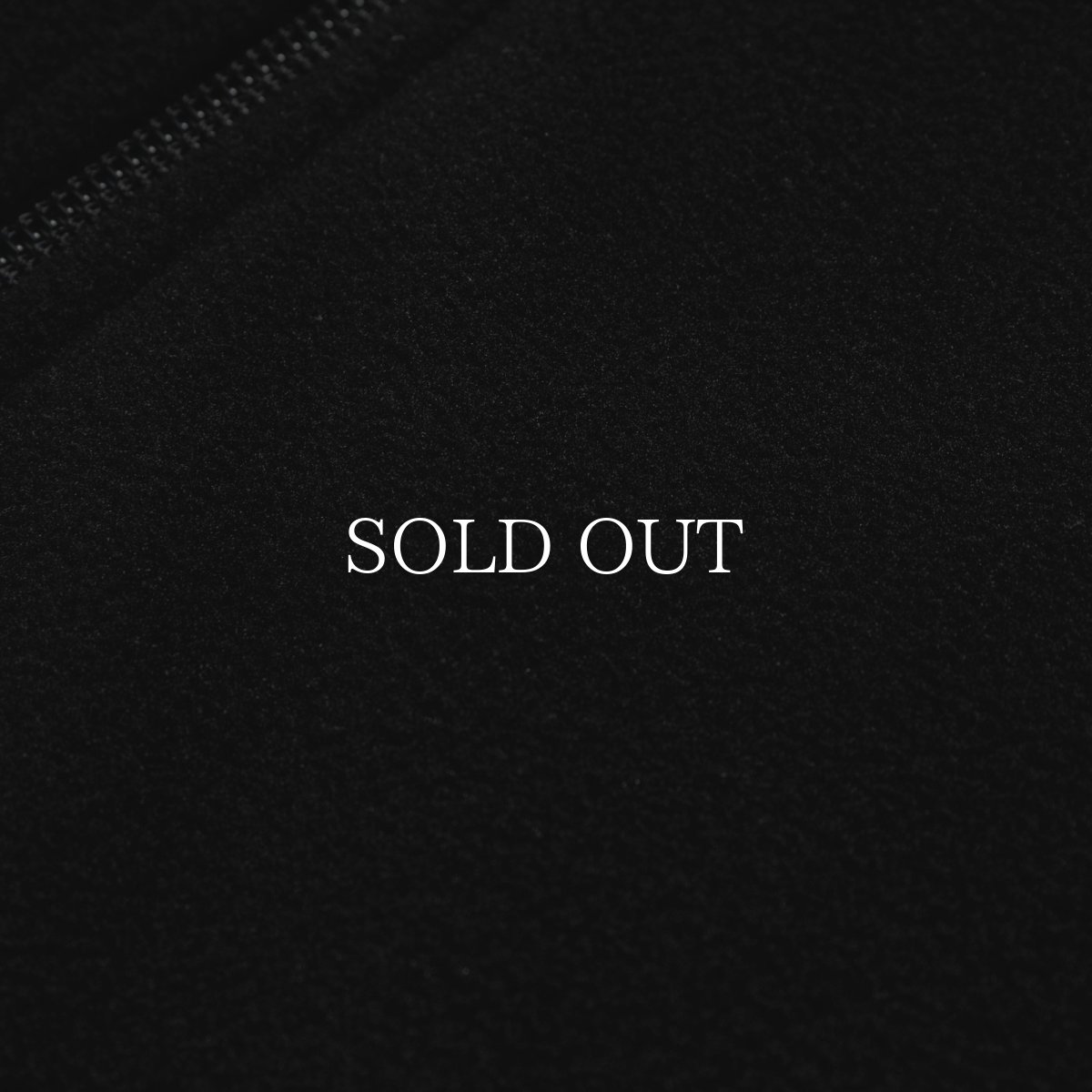 画像6: APPLEBUM  Fleece Full Zip Vest (6)