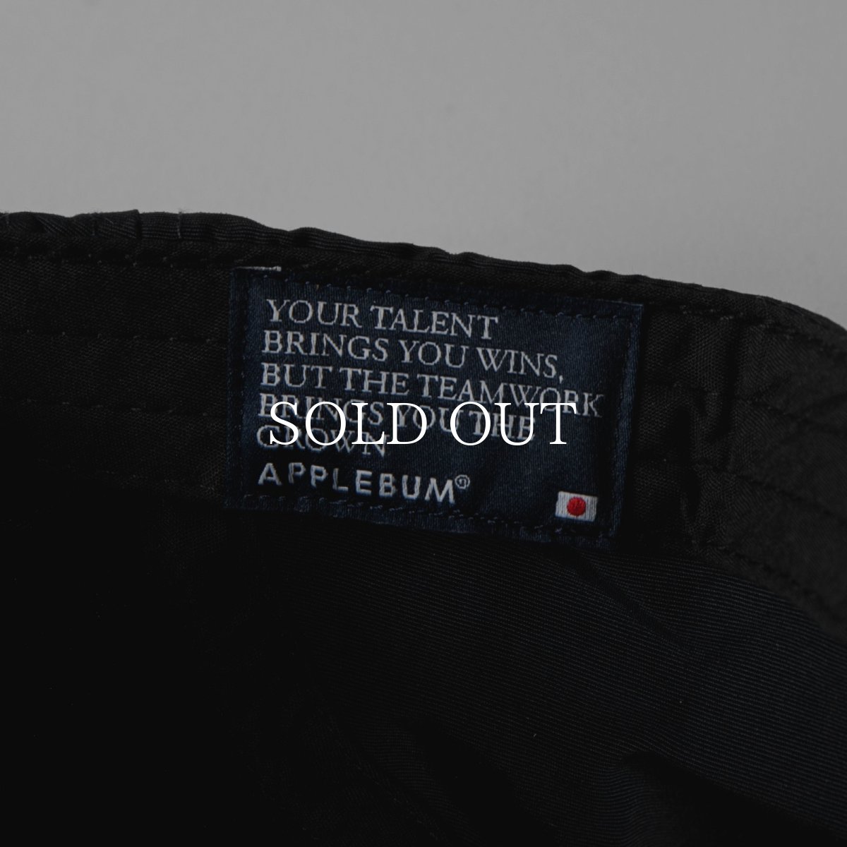 画像9: APPLEBUM  Sports Logo Nylon Jet Cap (9)