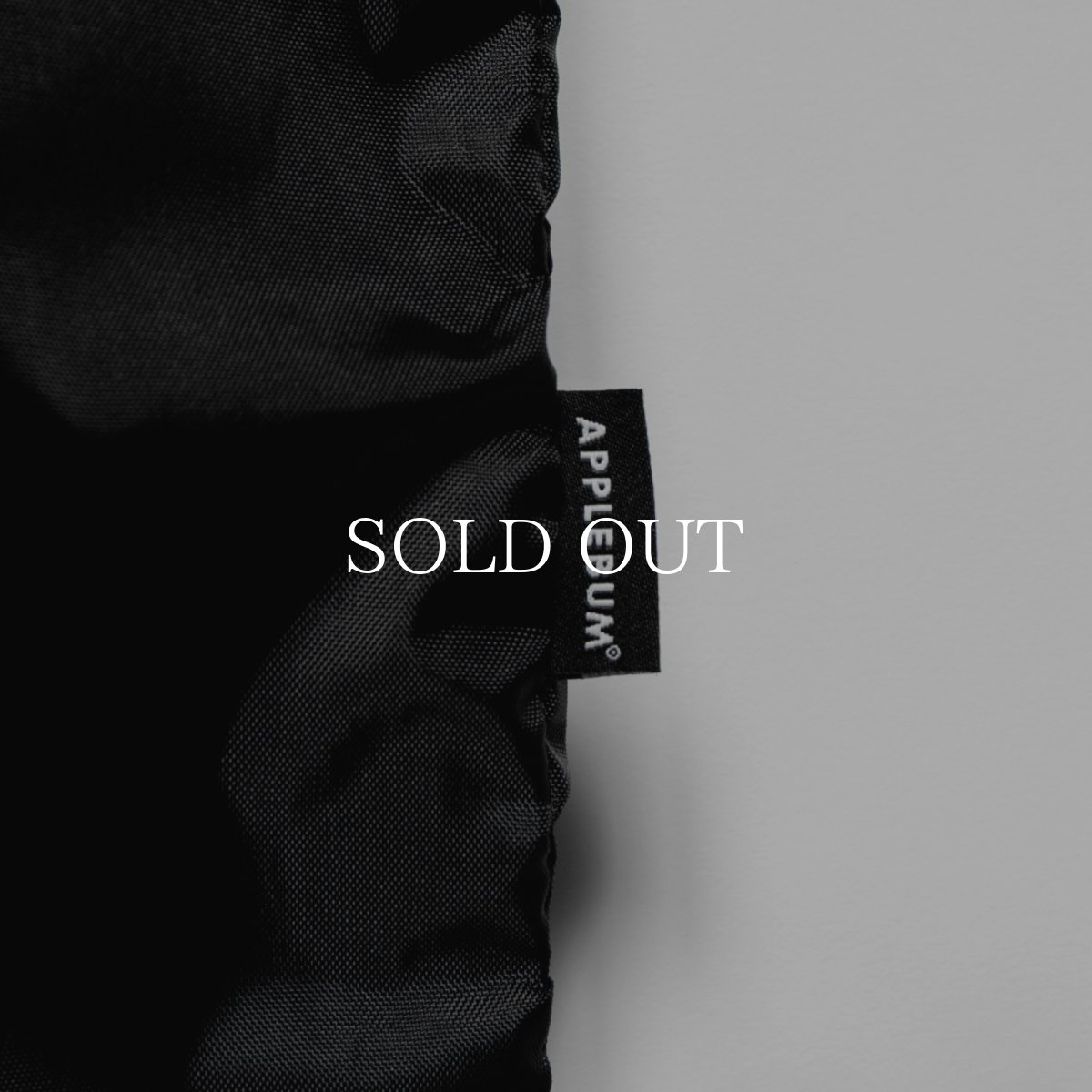 画像4: APPLEBUM  Gym Sac (4)