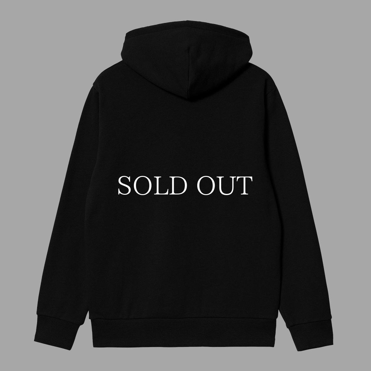 画像2: CARHARTT WIP  HOODED SCRIPT EMBROIDERY (2)