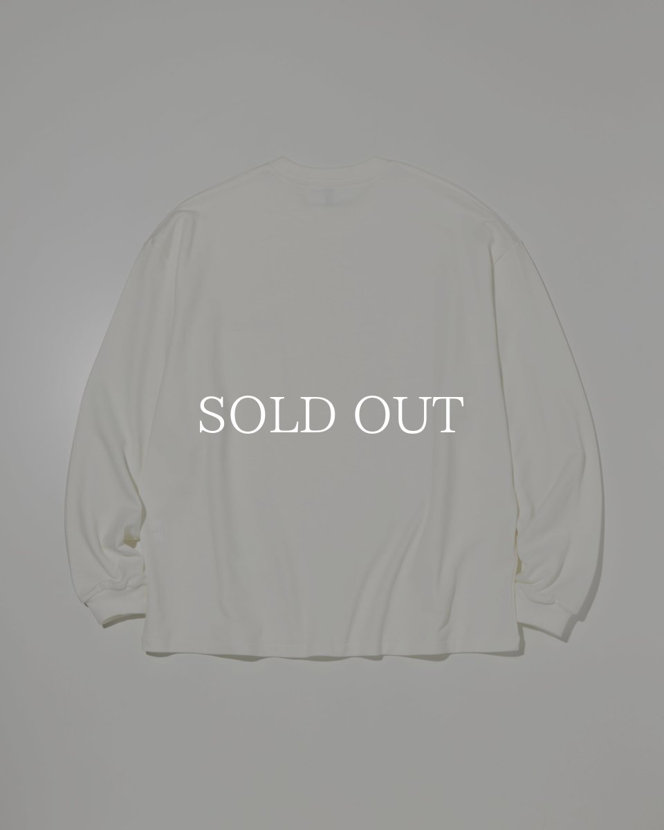 画像5: RADIALL  T.D.P. - CREW NECK T-SHIRT L/S (5)