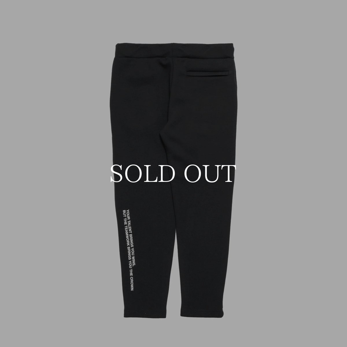 画像2: APPLEBUM  Sports Logo Double Knit Pants (2)