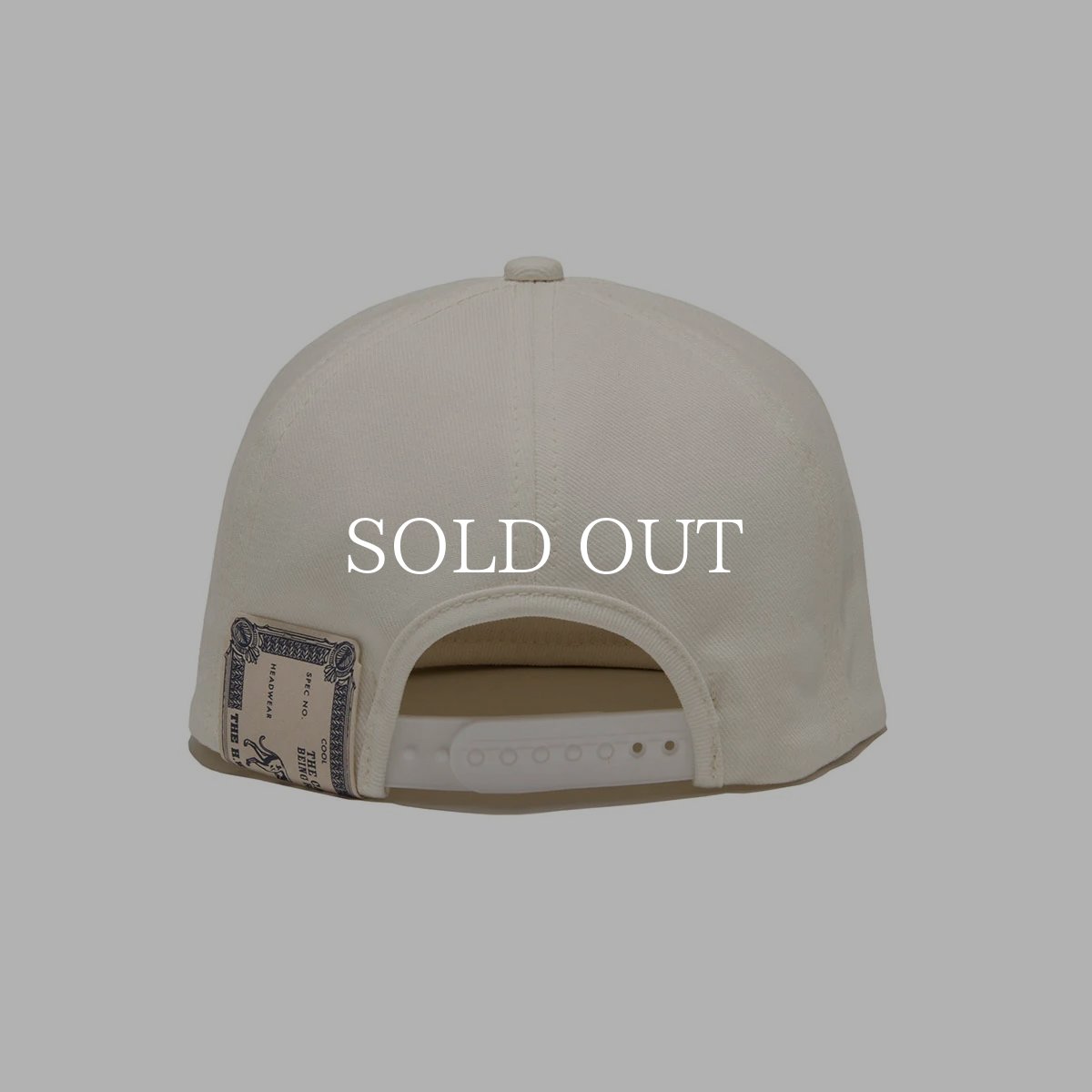 画像29: THE H.W.DOG&CO.  TRUCKER CAP (29)