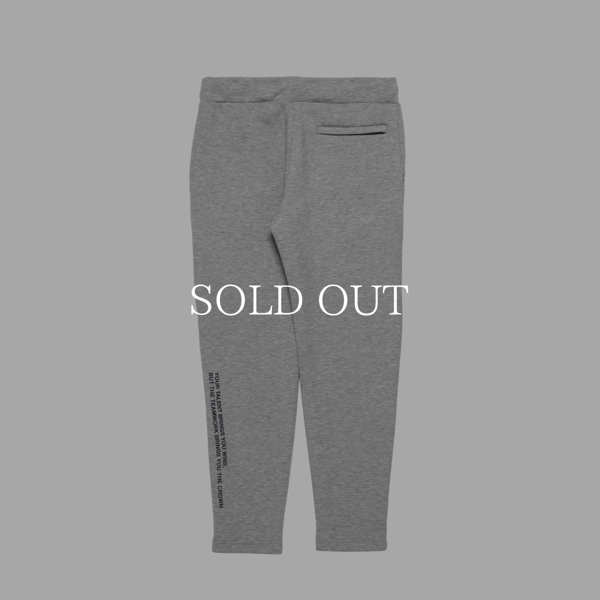 画像10: APPLEBUM  Sports Logo Double Knit Pants (10)