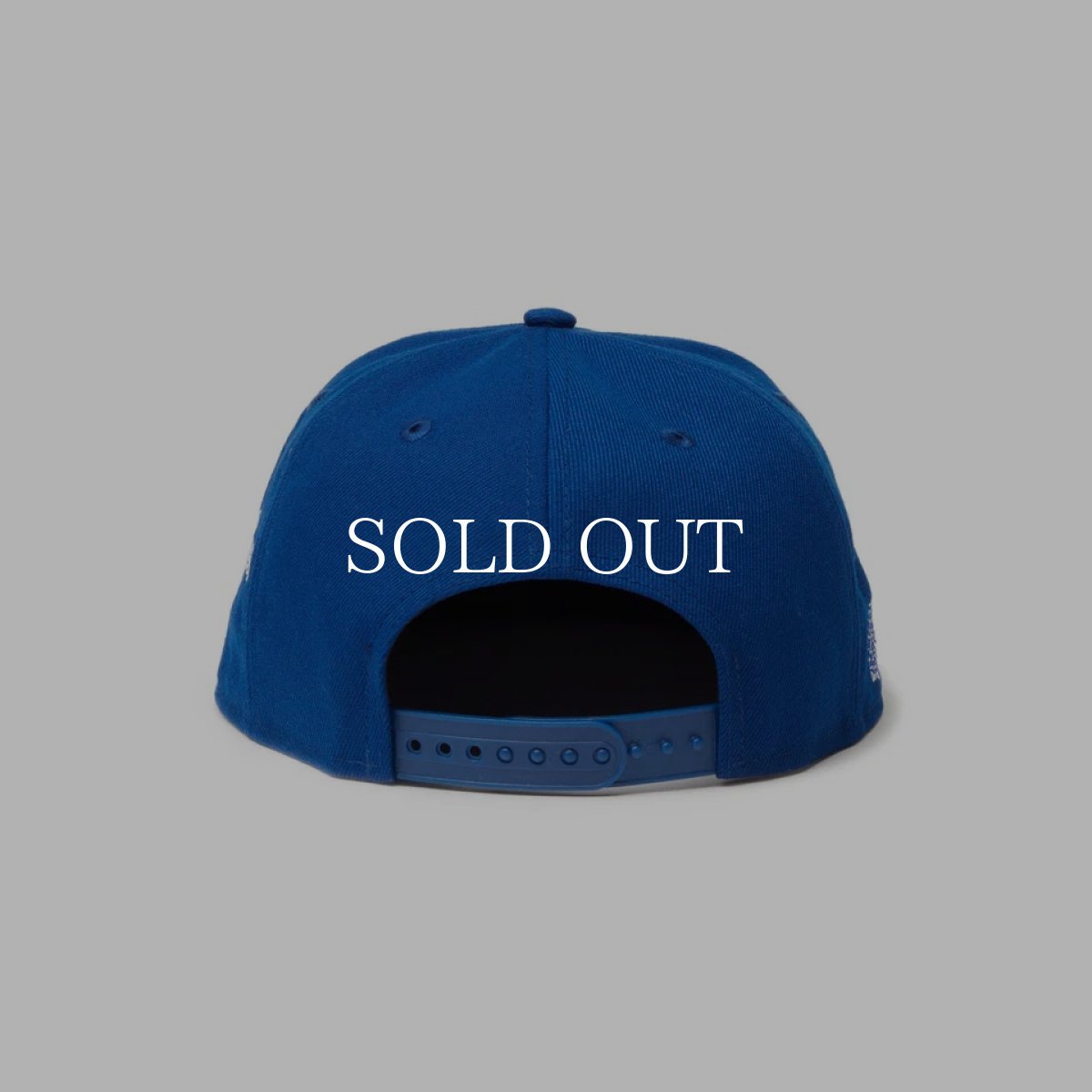 画像6: NEW ERA  RC 9FIFTY SHINKNOWNSUKE FAT CUT PRESS ライトロイヤル (6)