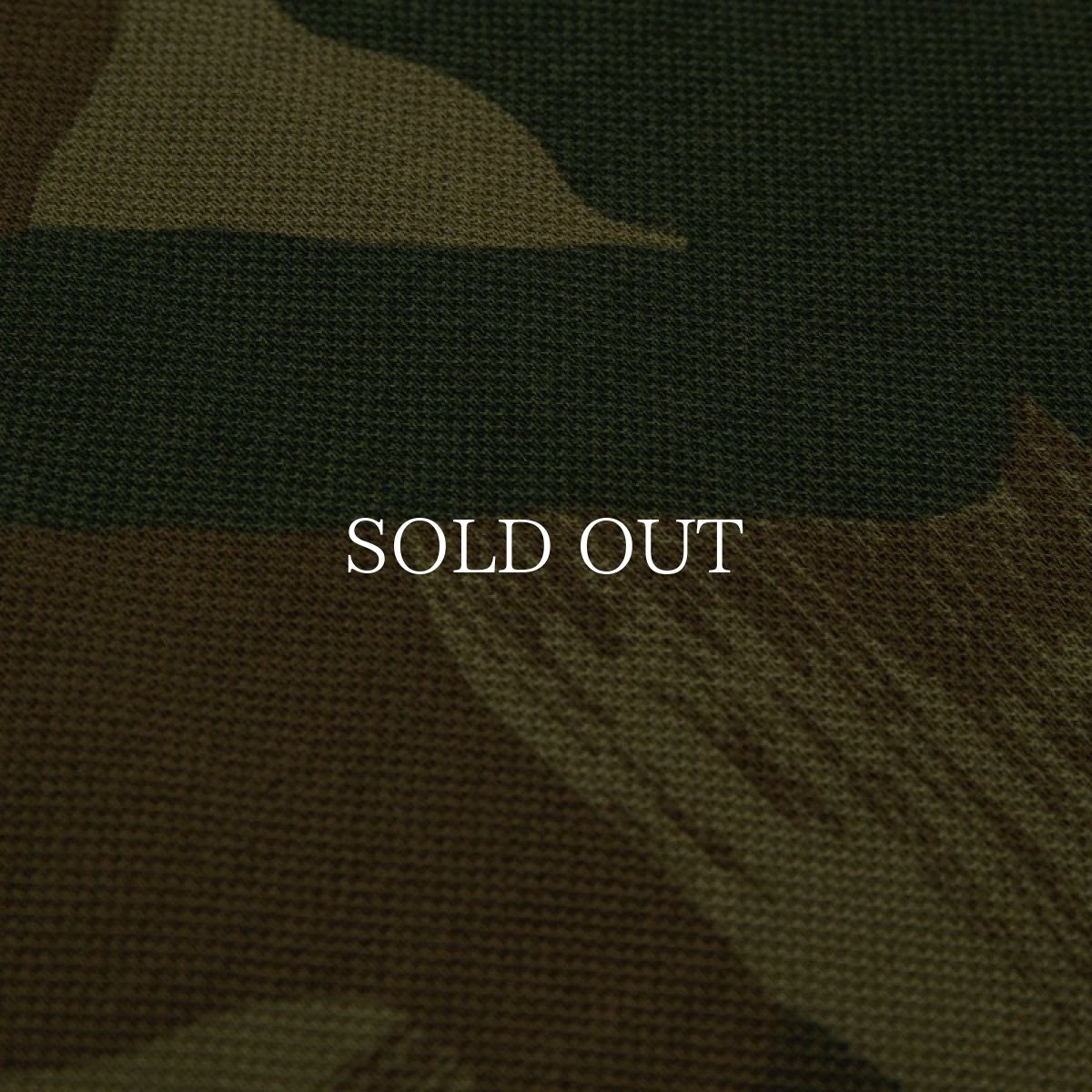 画像6: APPLEBUM  Camo L/S Polo Shirt (6)