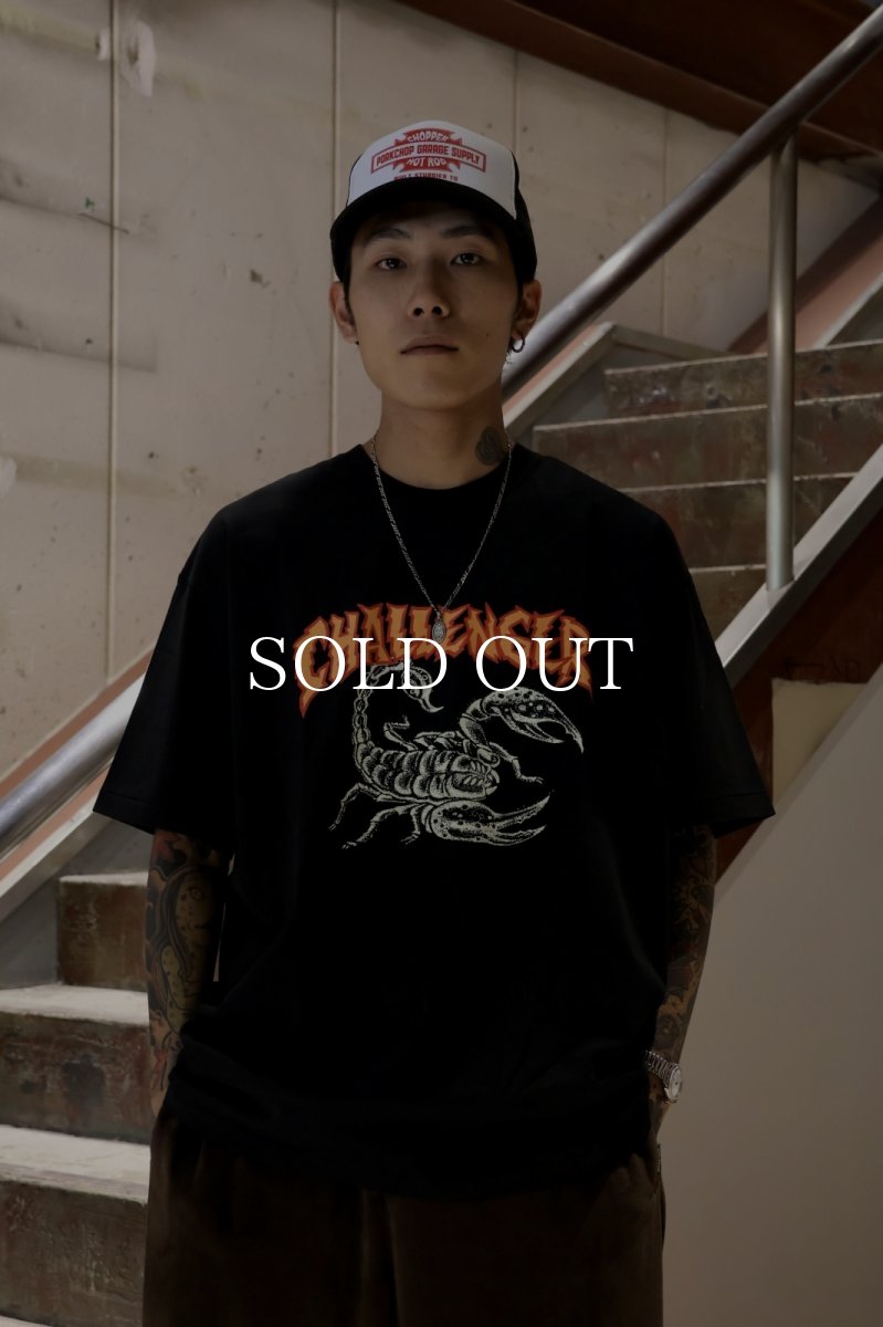 画像4: CHALLENGER  SCORPION TEE (4)