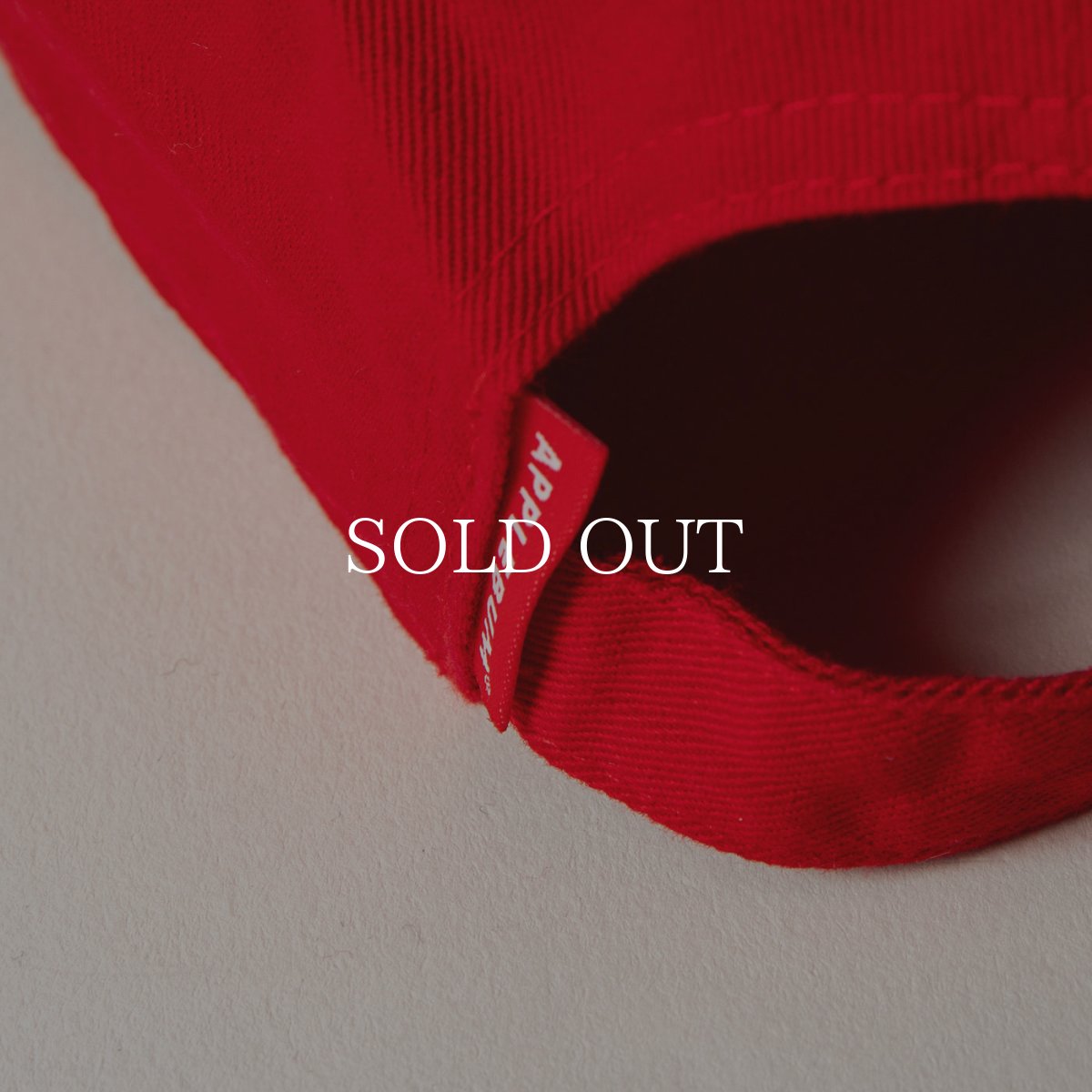 画像16: APPLEBUM  “コンプトン” Cap (16)