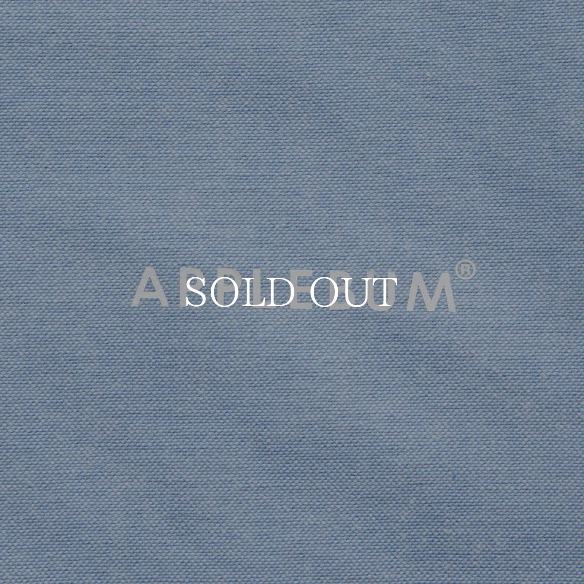 画像11: APPLEBUM  Oxford Oversize Shirt (11)