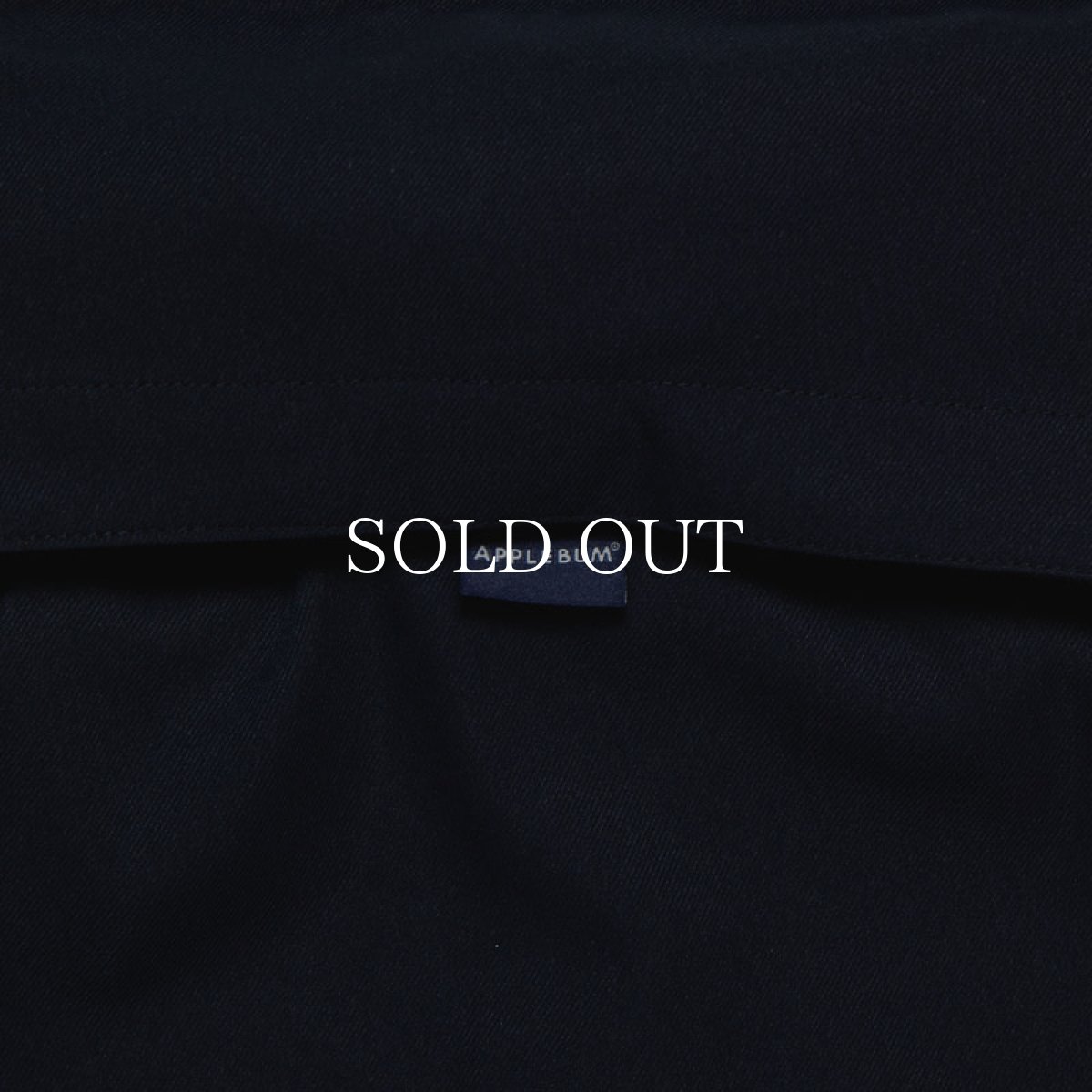 画像19: APPLEBUM  Hi-Tech Halfzip Anorak (19)