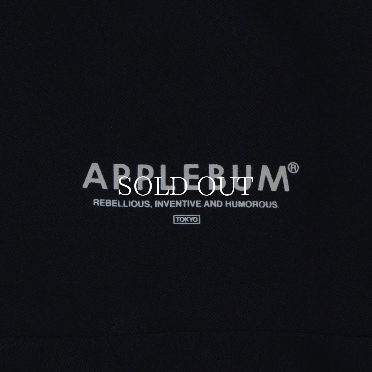 画像16: APPLEBUM  Hi-Tech Halfzip Anorak (16)