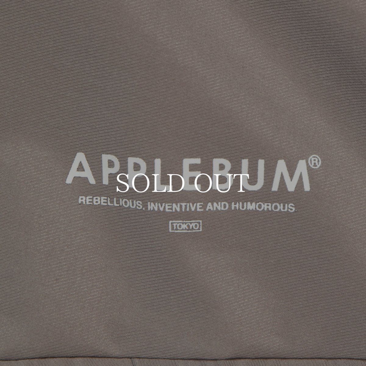 画像6: APPLEBUM  Hi-Tech Halfzip Anorak (6)
