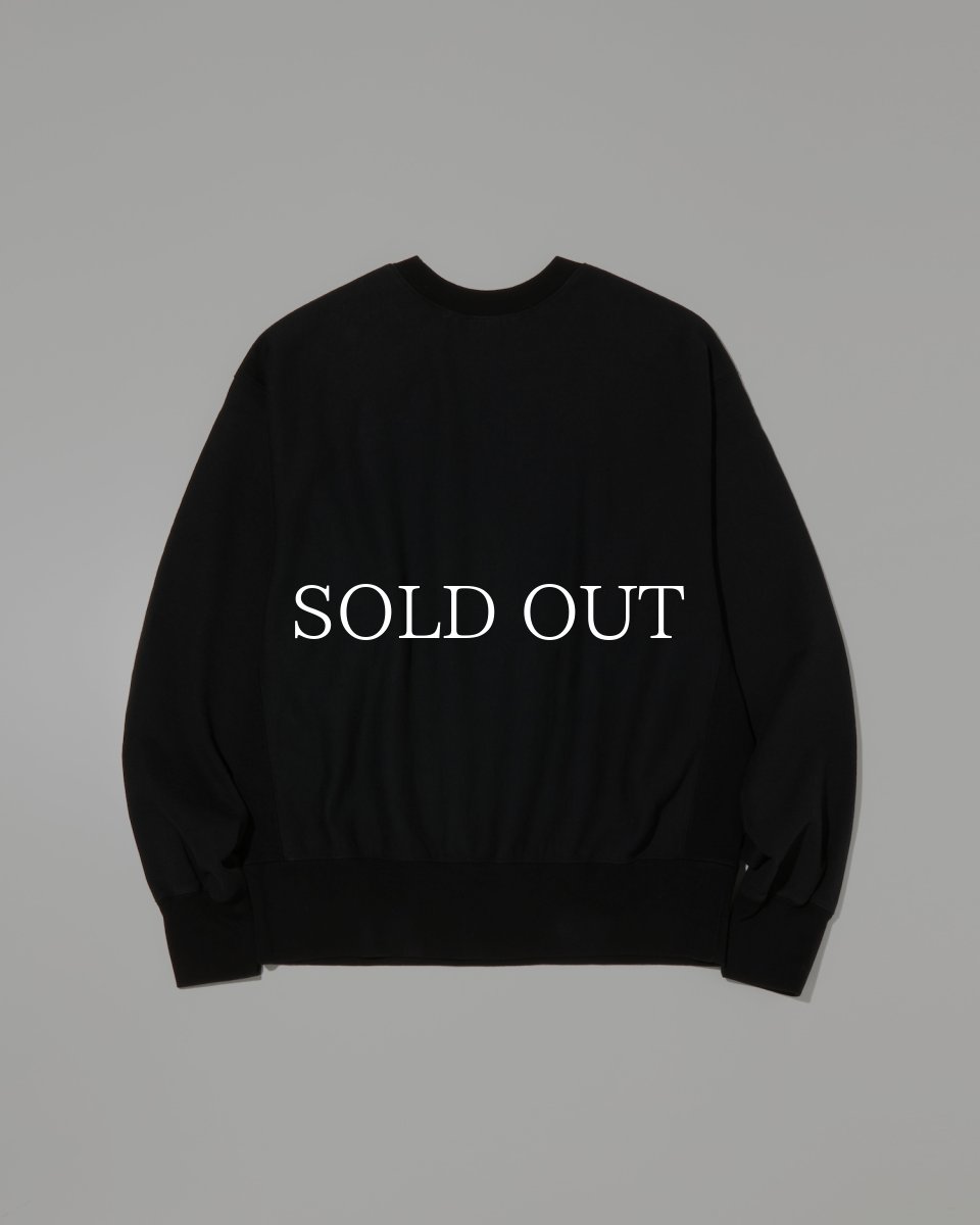 画像2: RADIALL  LOWLANE CREW NECK SWEATSHIRT L/S (2)