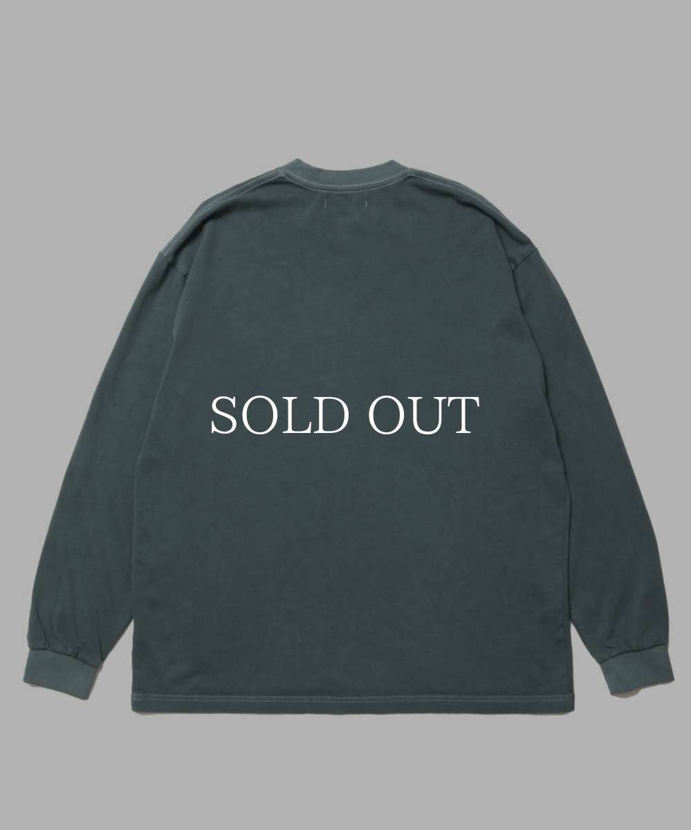 画像5: ROTTWEILER  R9 PIGMENT LS TEE (5)