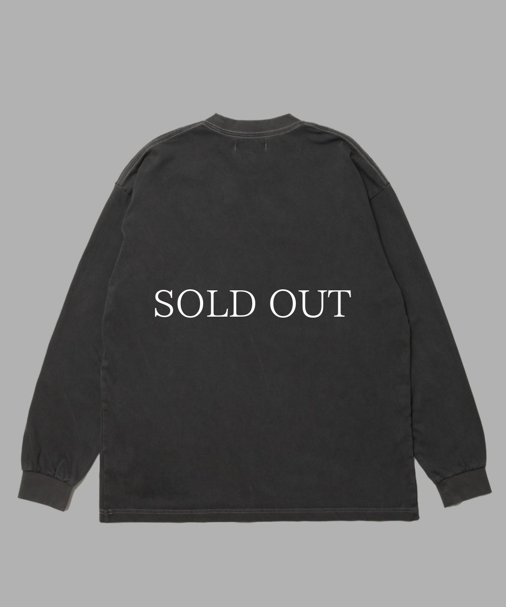 画像2: ROTTWEILER  R9 PIGMENT LS TEE (2)