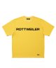 YELLOW__SYELLOW__