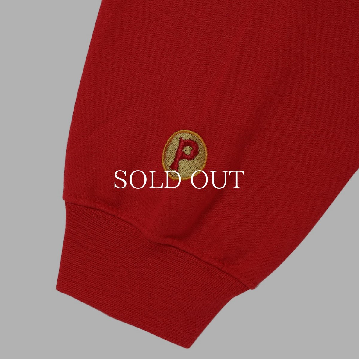 画像15: PORKCHOP GARAGE SUPPLY  PORK BACK HOODIE (15)