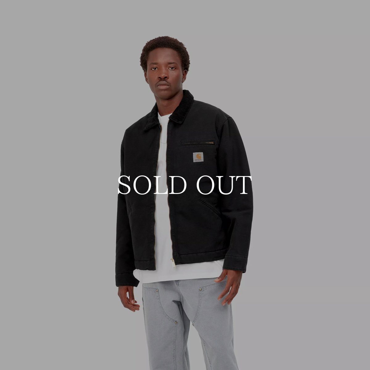 画像21: CARHARTT WIP  OG DETROIT JACKET (21)