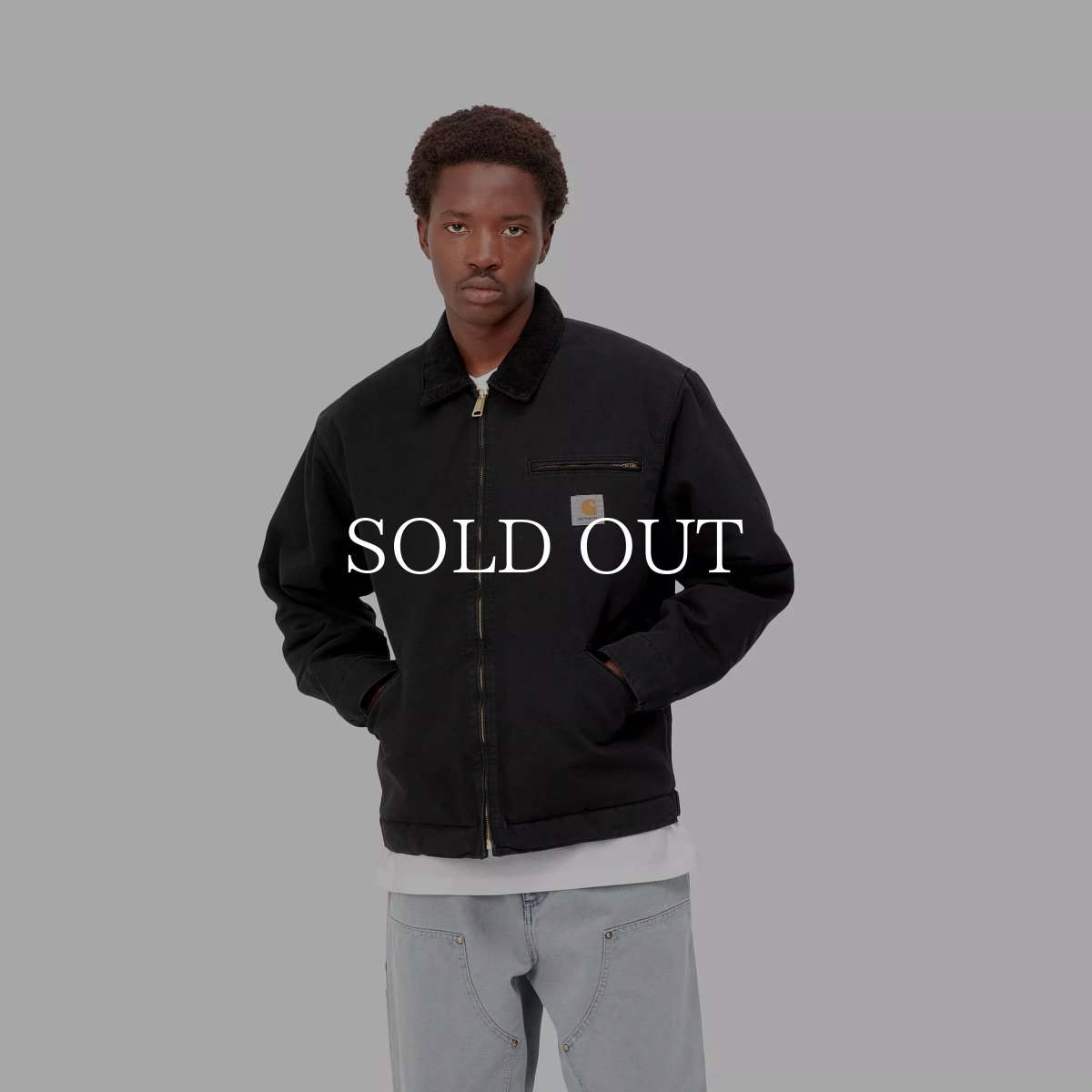 画像19: CARHARTT WIP  OG DETROIT JACKET (19)