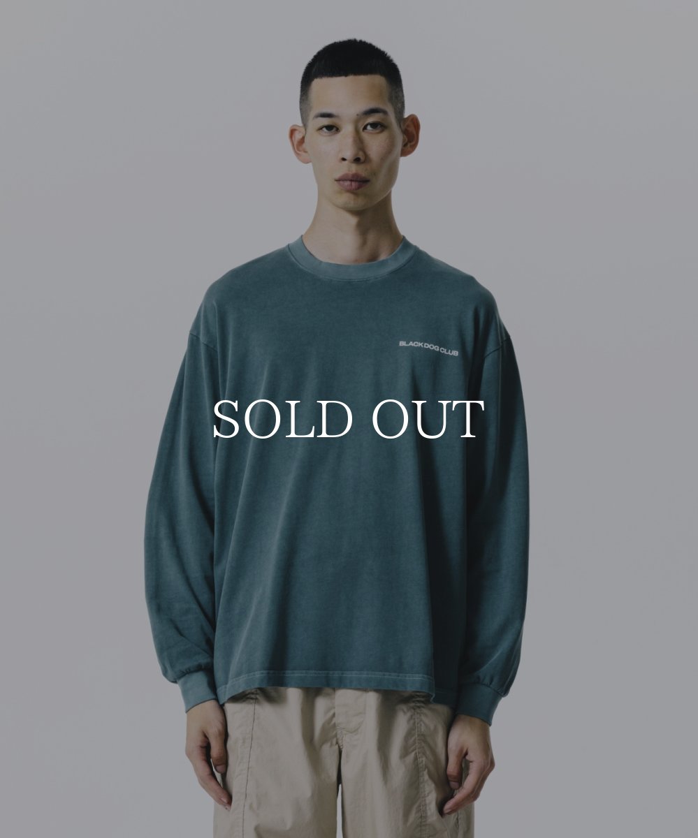 画像6: ROTTWEILER  R9 PIGMENT LS TEE (6)