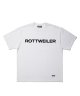 WHITE__SWHITE__