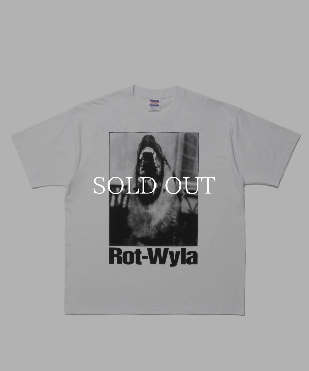 画像1: ROTTWEILER DOG PHOTO TEE (1)